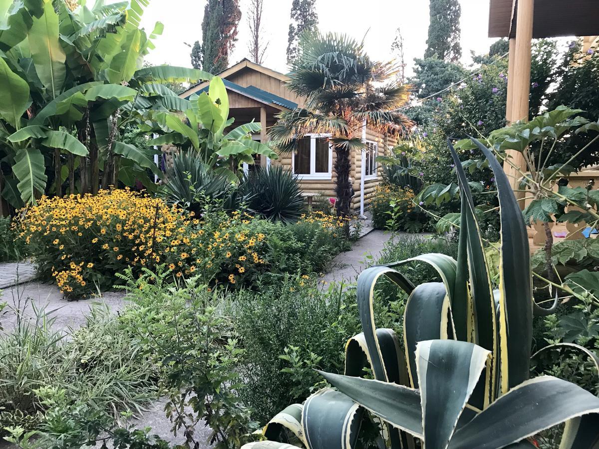 Гостевой Дом "Сария" Hotel Alakhadzi Exterior foto