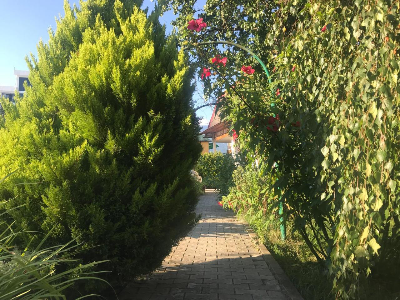 Гостевой Дом "Сария" Hotel Alakhadzi Exterior foto